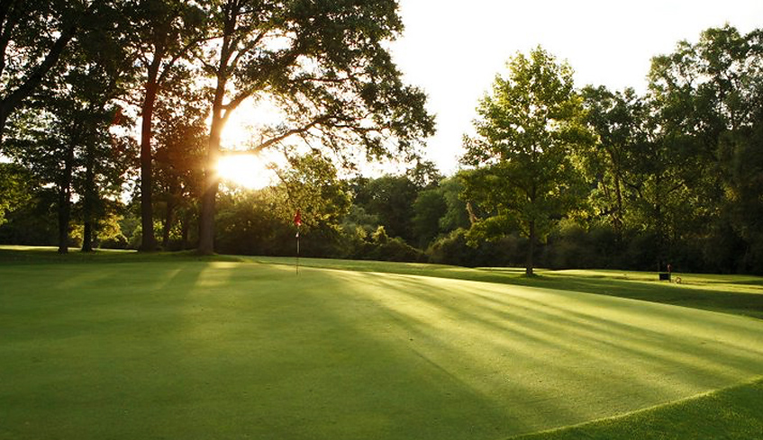 A hole at the Thames Valley Golf Club on a sunny summer day