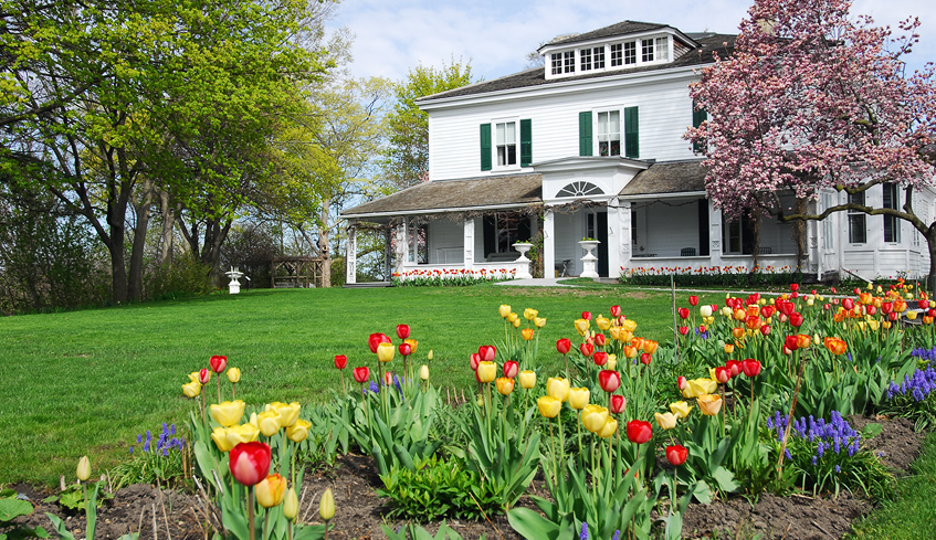 The entrance to the Eldon House with colourful tulips in the foreground and green grass, located in London, Ontario, Canada