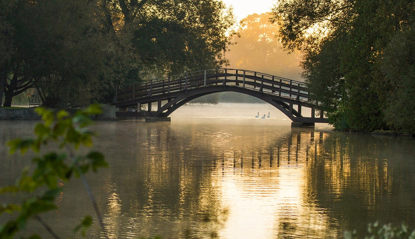 An early morning view of a small bridge over a body of water in the middle of a park with three swans swimming in Stratford, Ontario