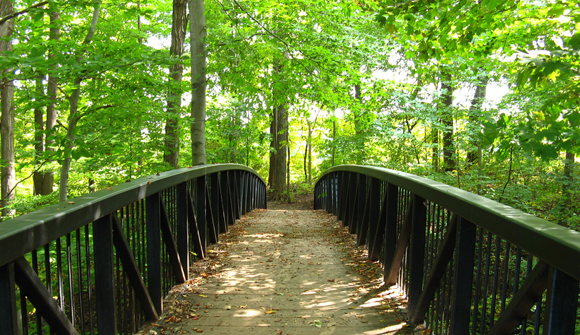 Unique Natural Areas Found In London Ontario Unique Natural Areas Found In London Ontario